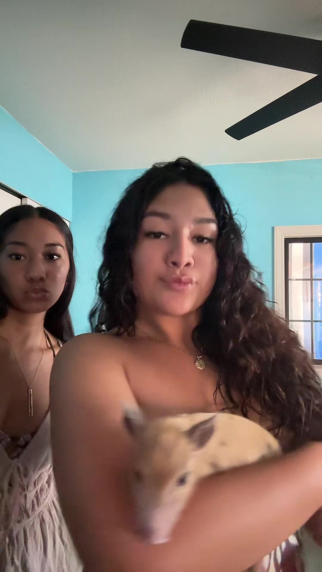 @nevareallygavafawk_