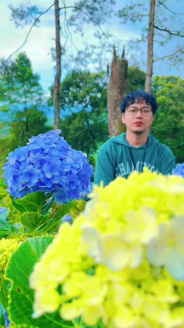 @albeehabibie