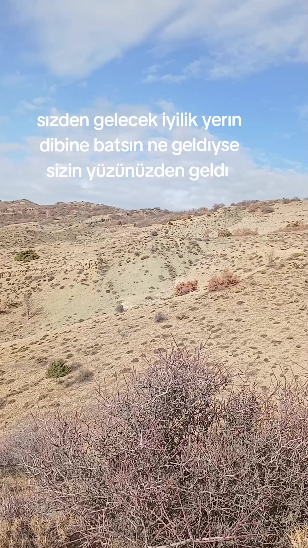 @avci