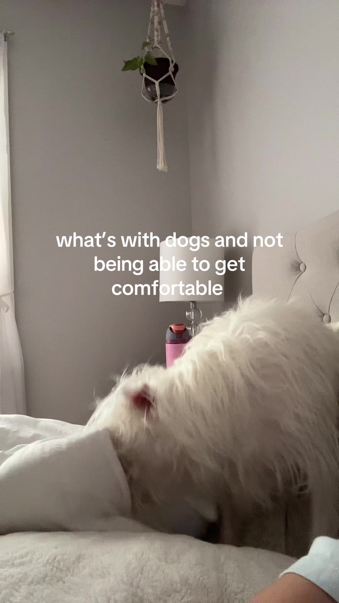 @secret