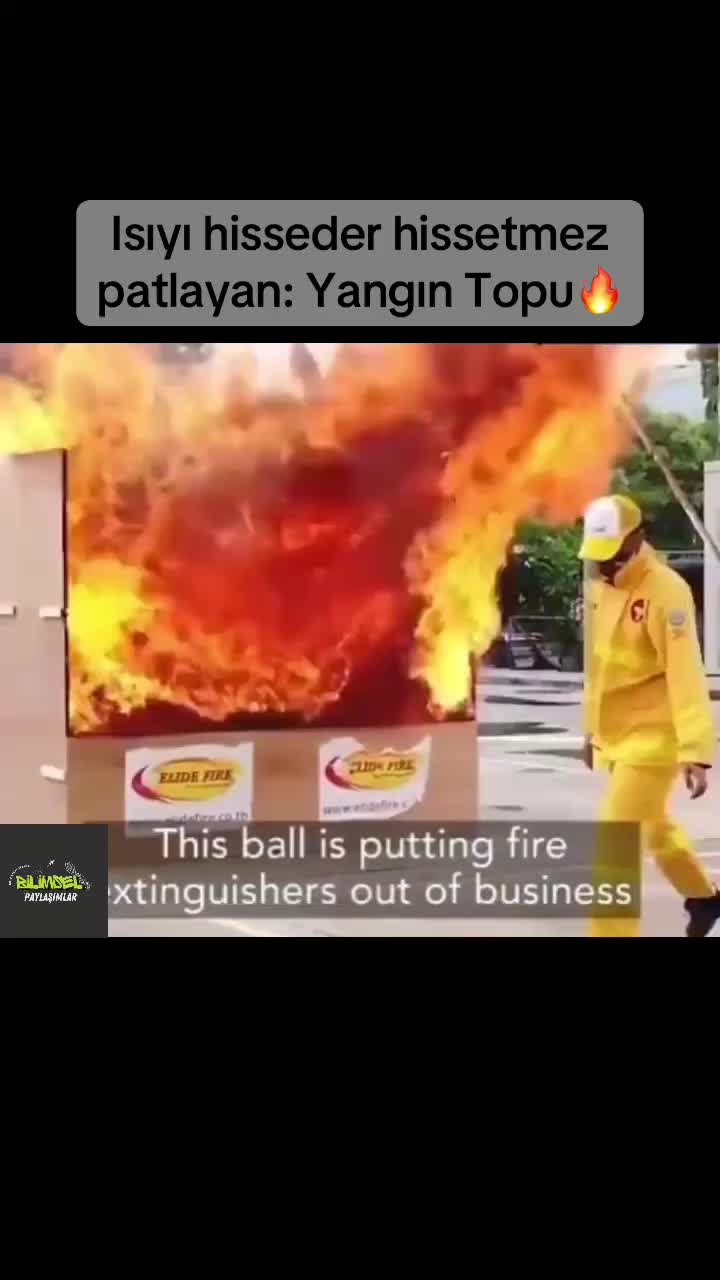 @Bilimsel Paylaşımlar