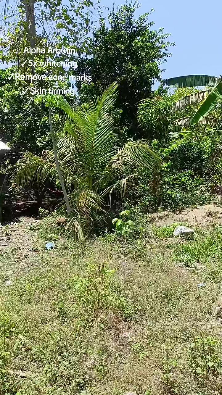 @GRACIA_09