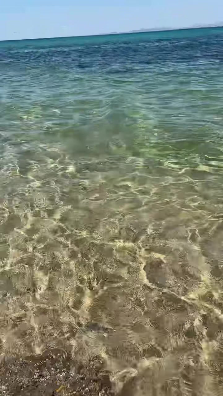 @Wahida