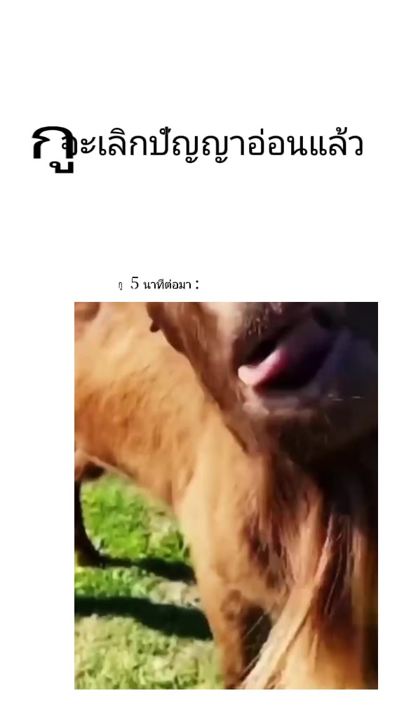 @67