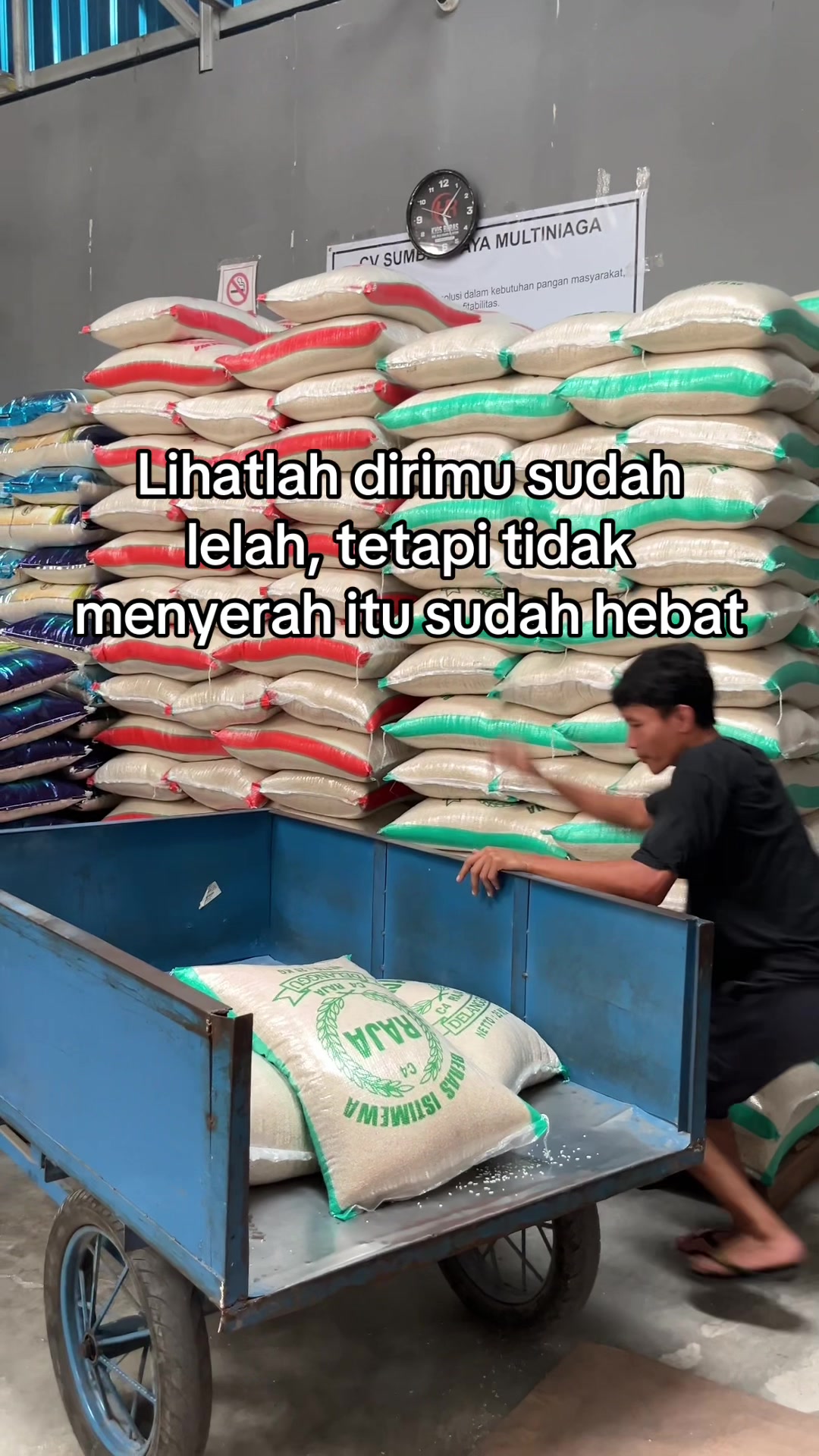 @DISTRIBUTOR BERAS JOGJA