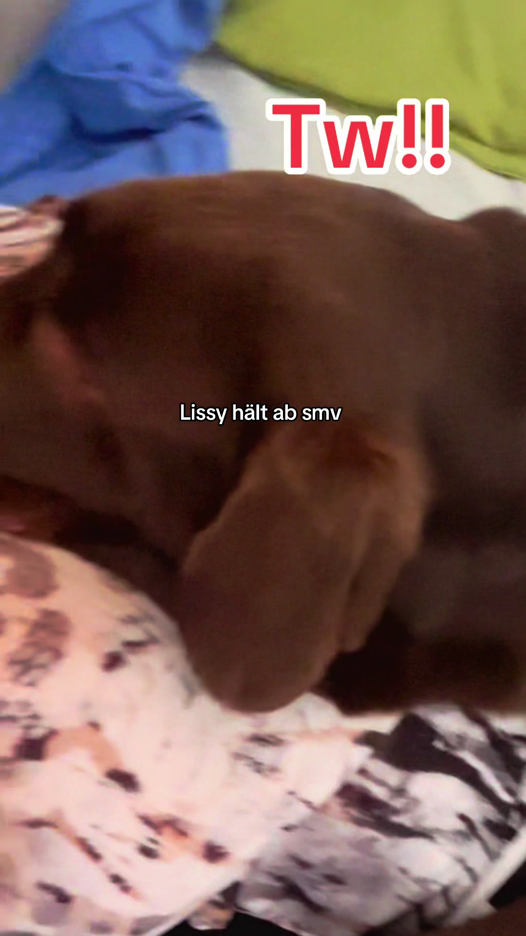 @teamlidialissy