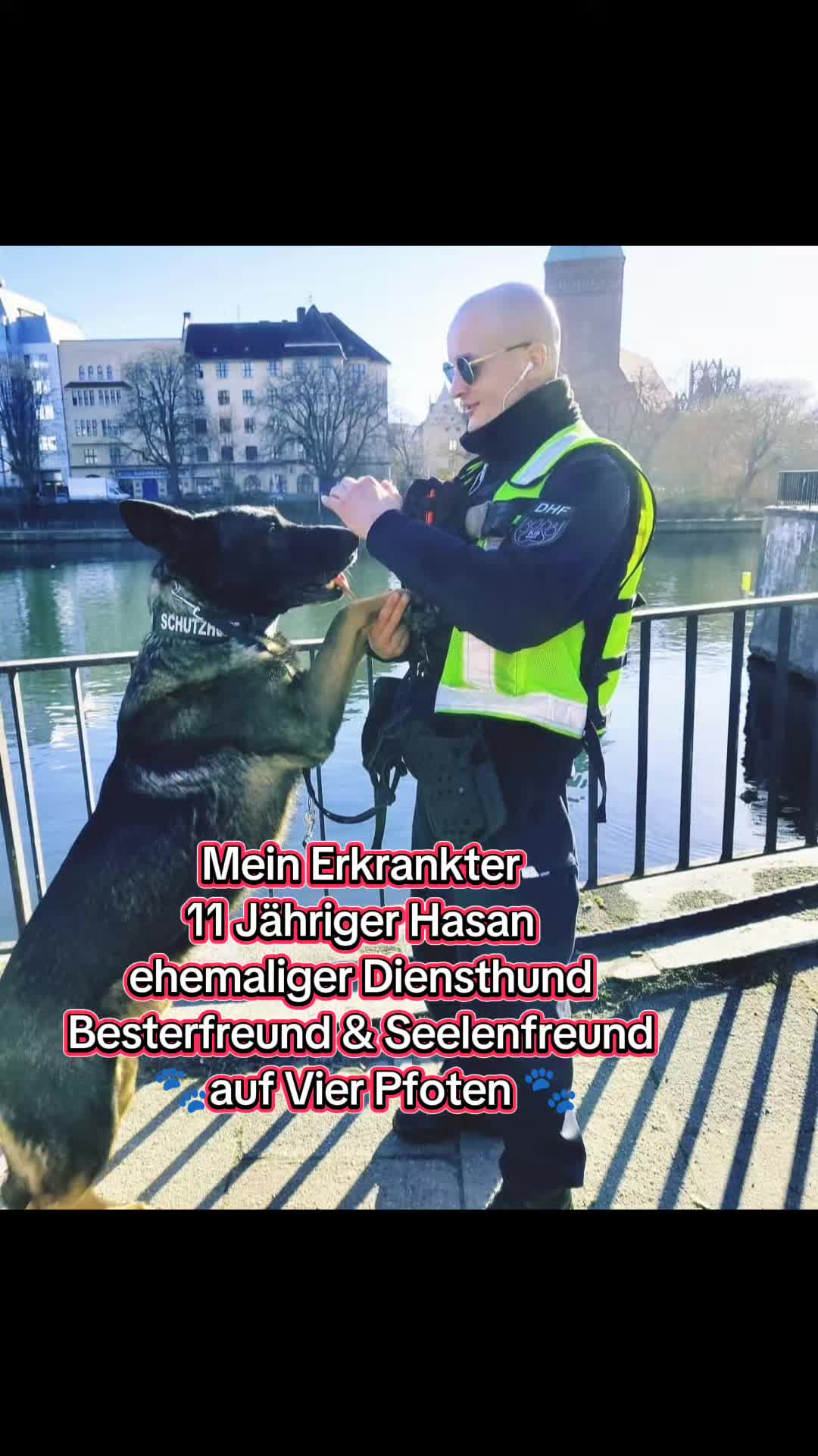 @K9 Palatinus-Unit☑️