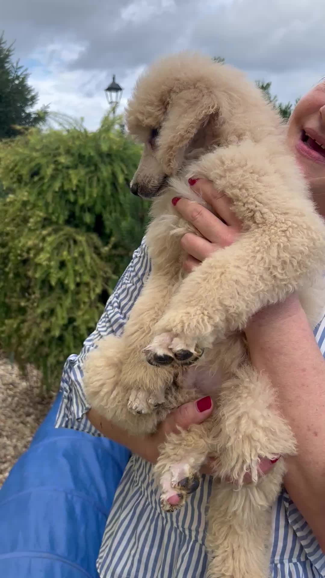 @hodowlaszkrabki