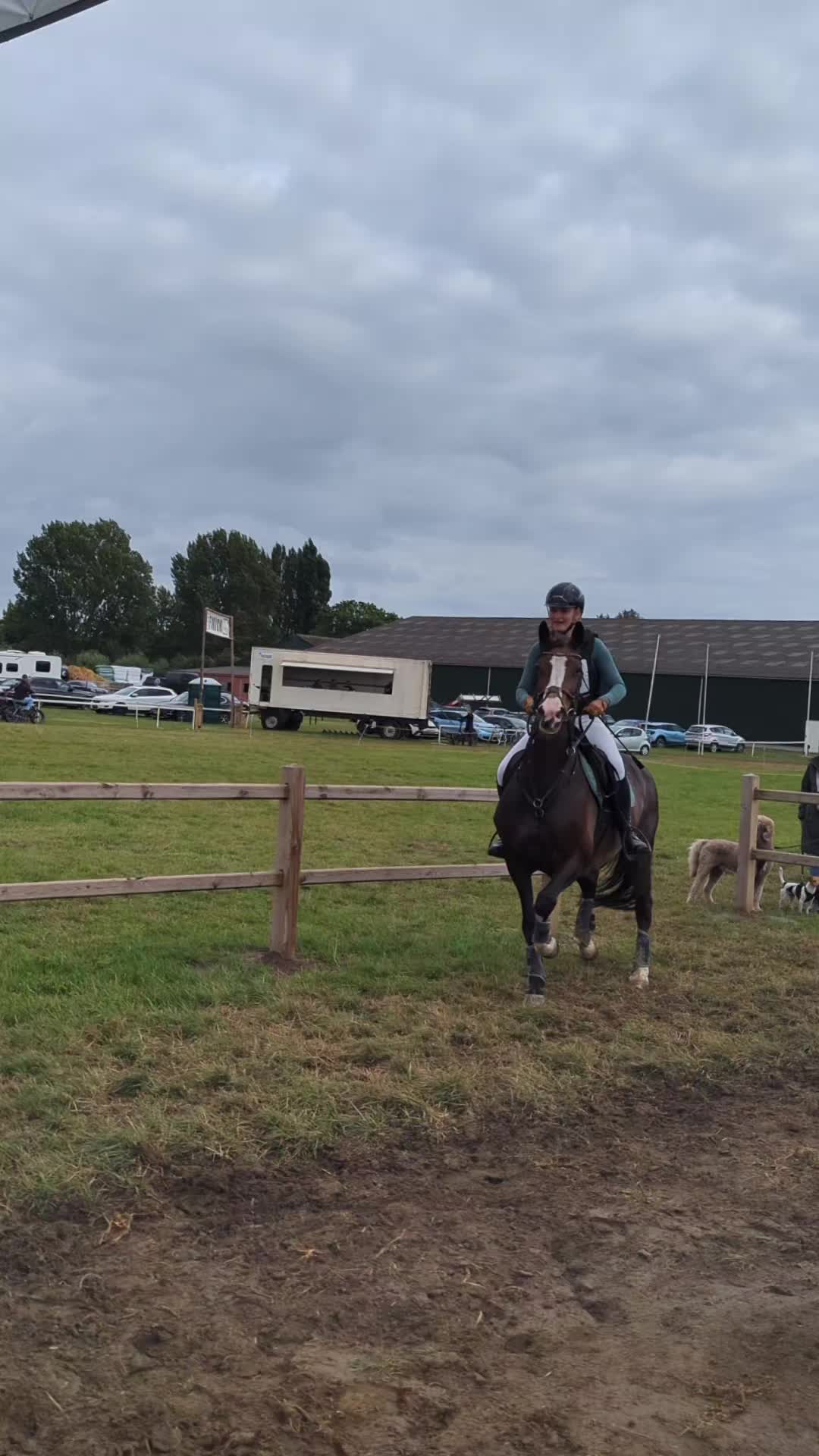 @Elegantia Horses