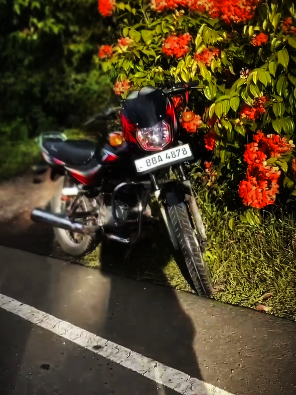 @𝑭𝒊𝒚𝒐𝒙𝒚 🍒💋