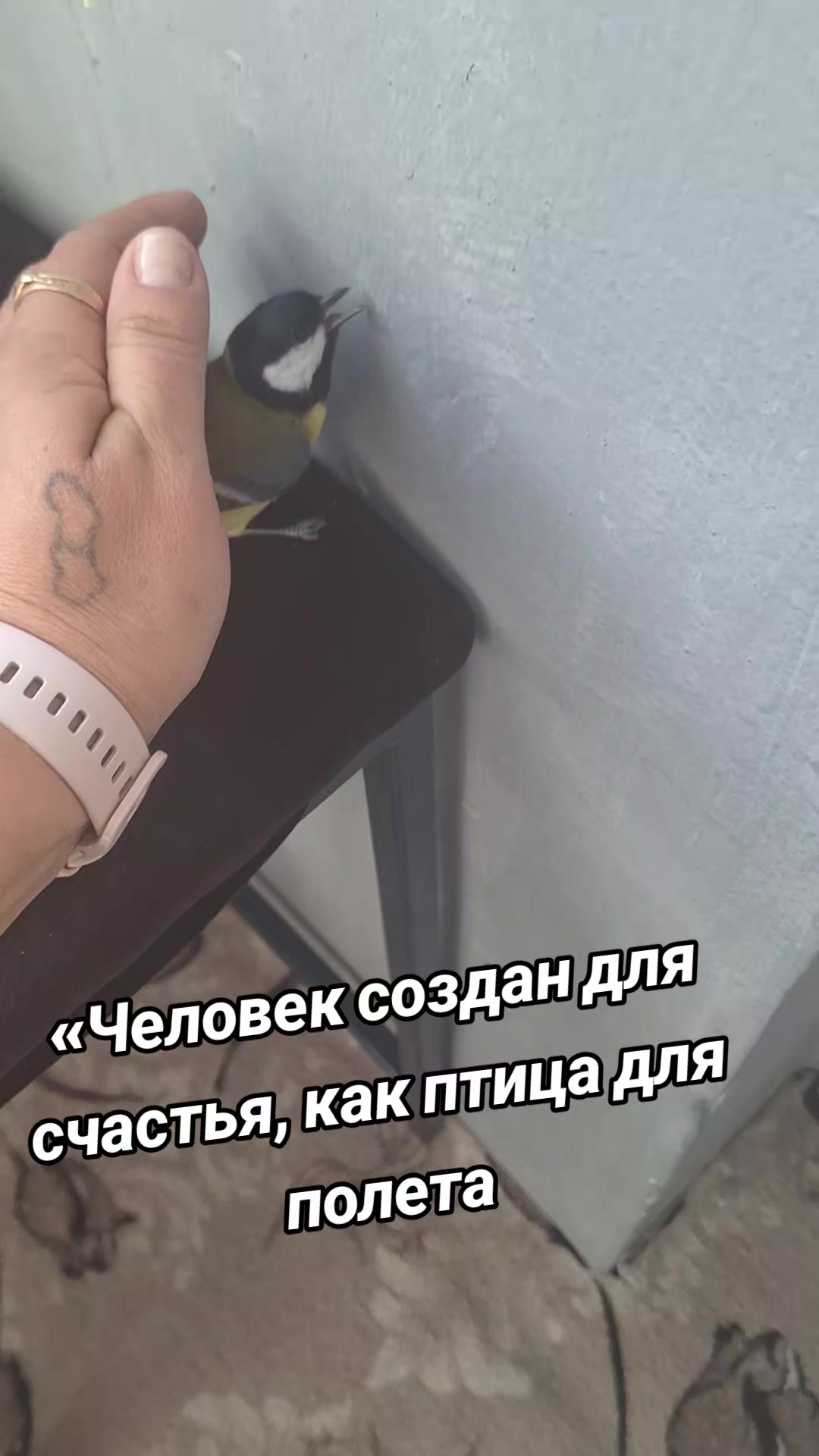 @iuliia585