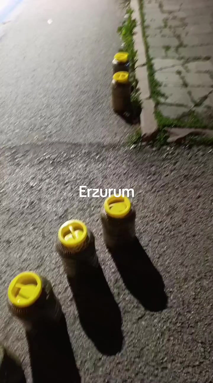 @DADALOĞLU