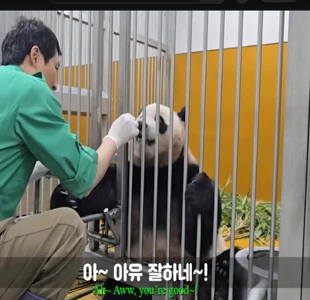 @K-PANDA kim