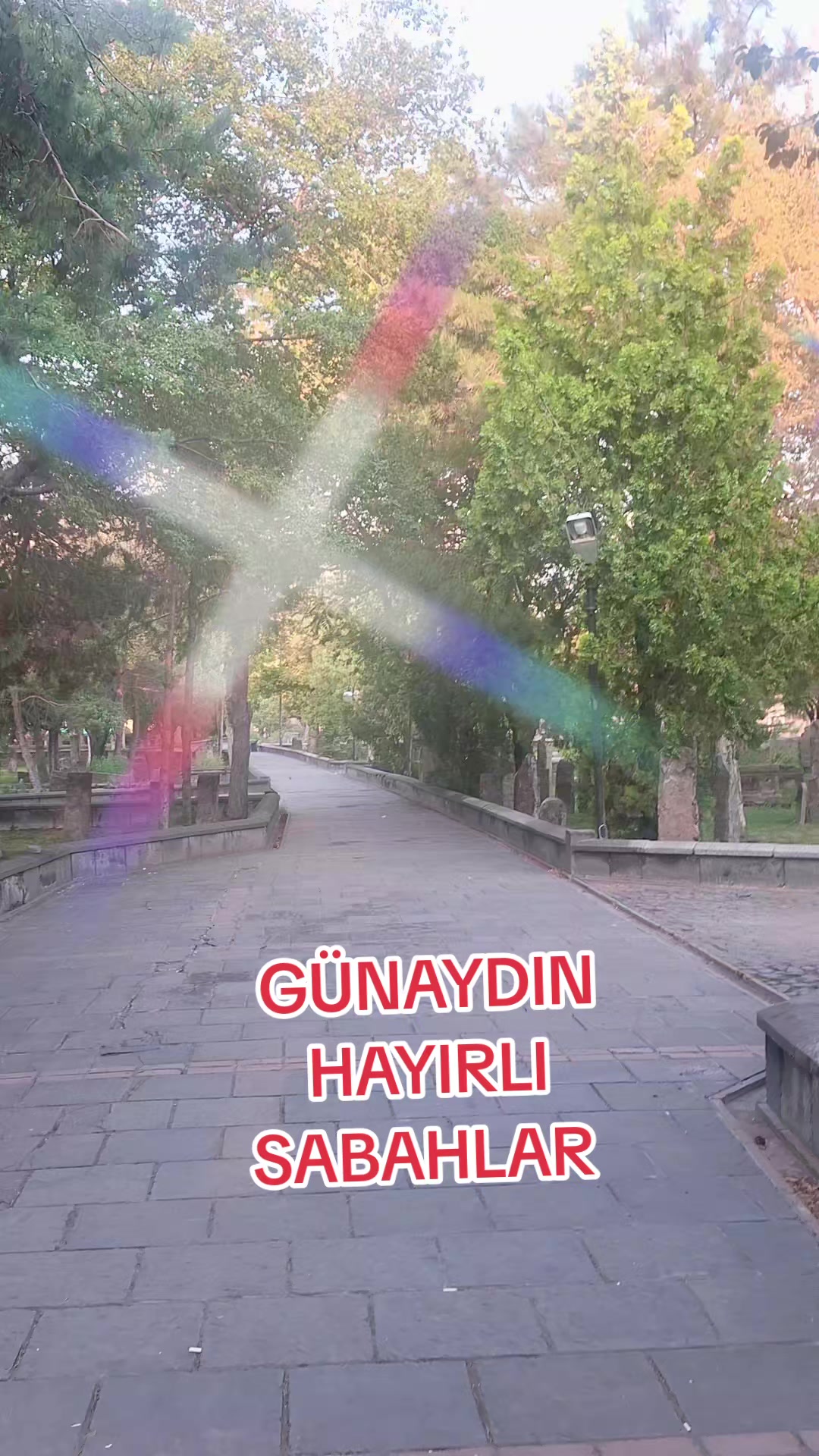 @gulvehsrn