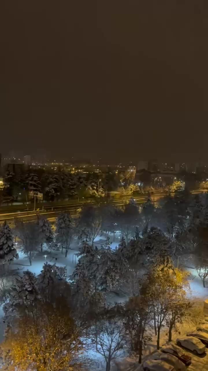 @___ᗩYᑎᑌᖇᖇᖇ___