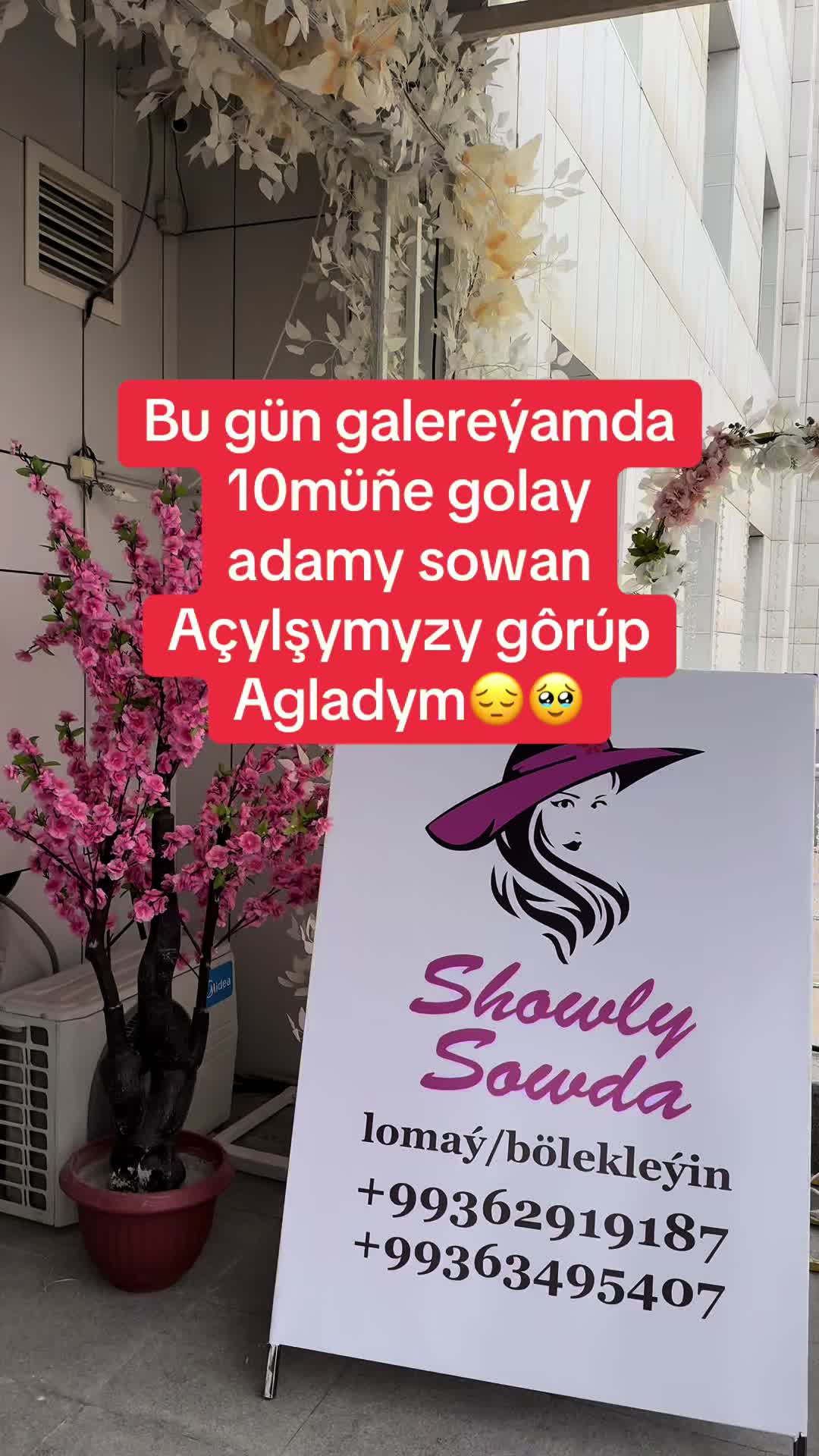 @ShowlySowda
