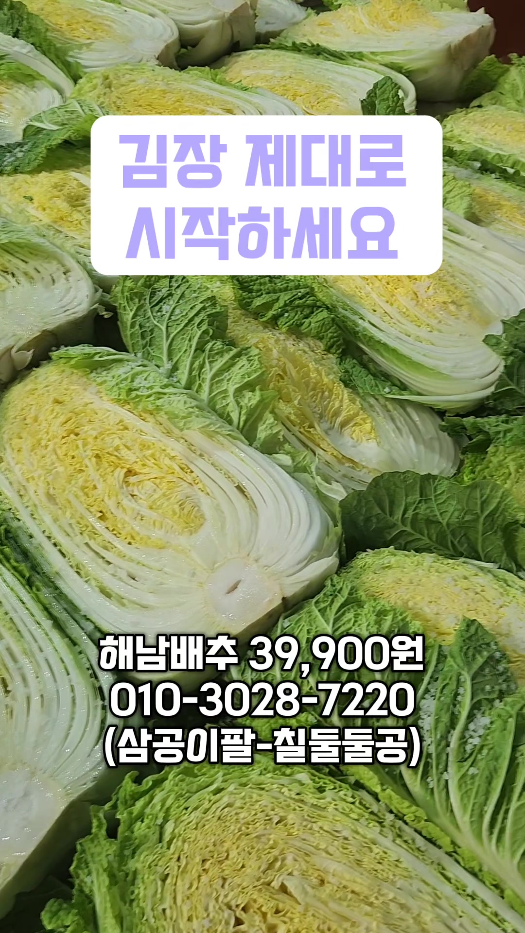 @한입의행복