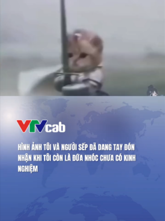 @VTVcab Trending - Giải tr&iacute;