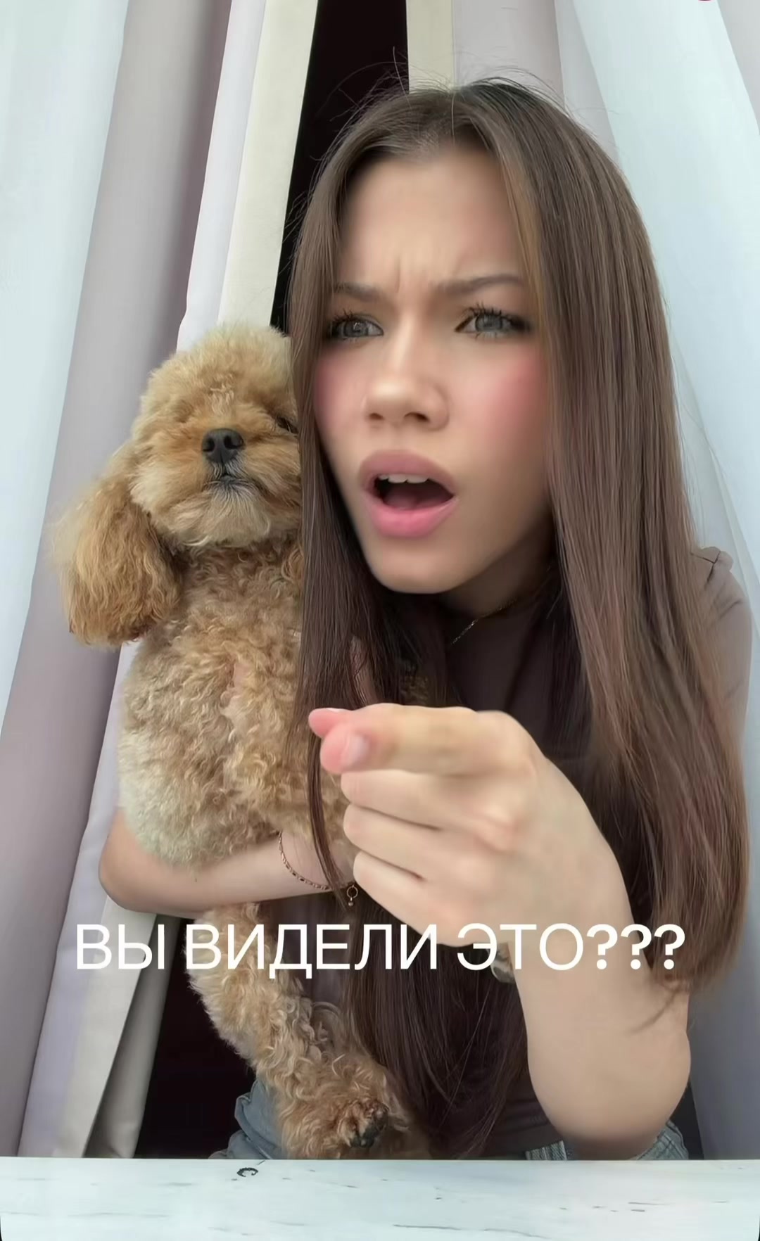 @vikishow_vikishow