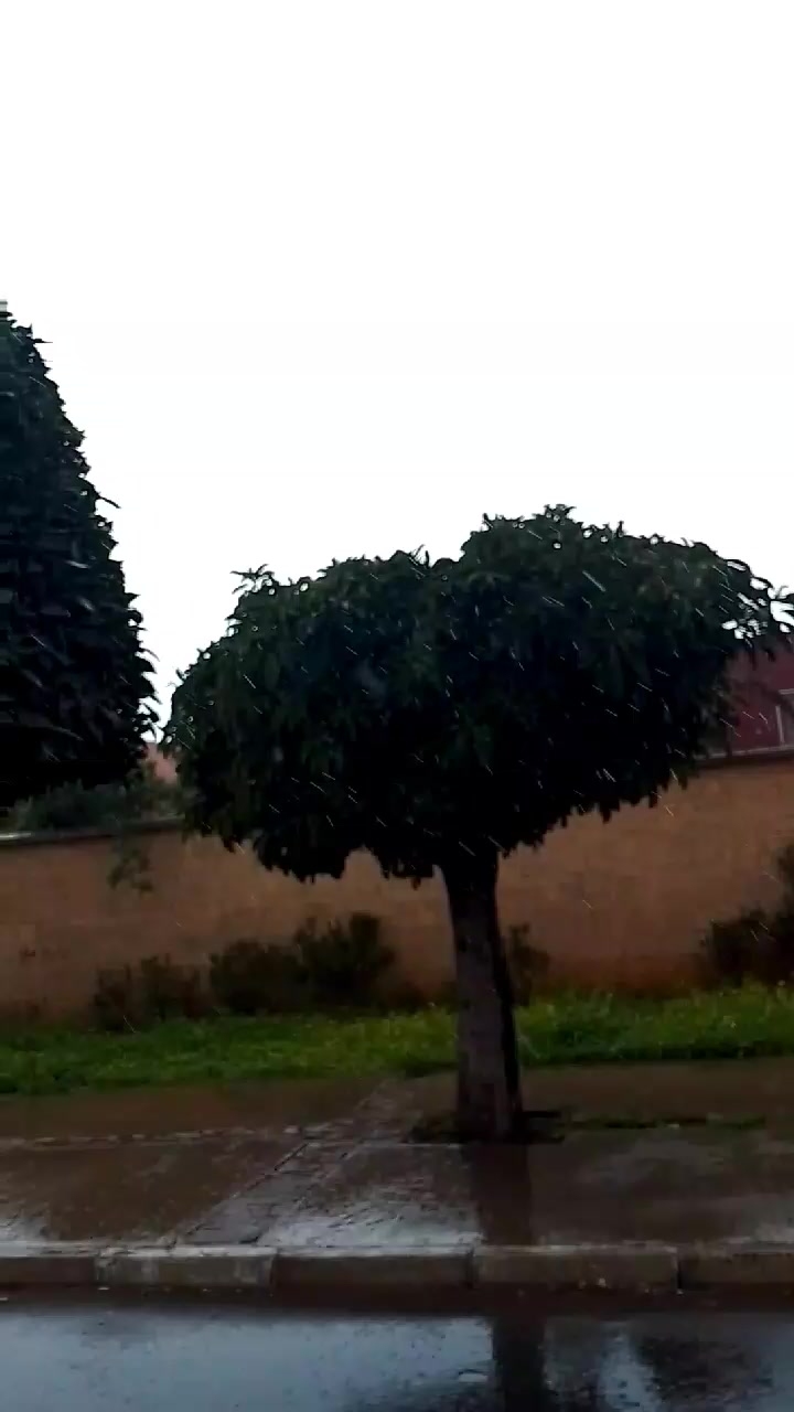 @MiliFlore