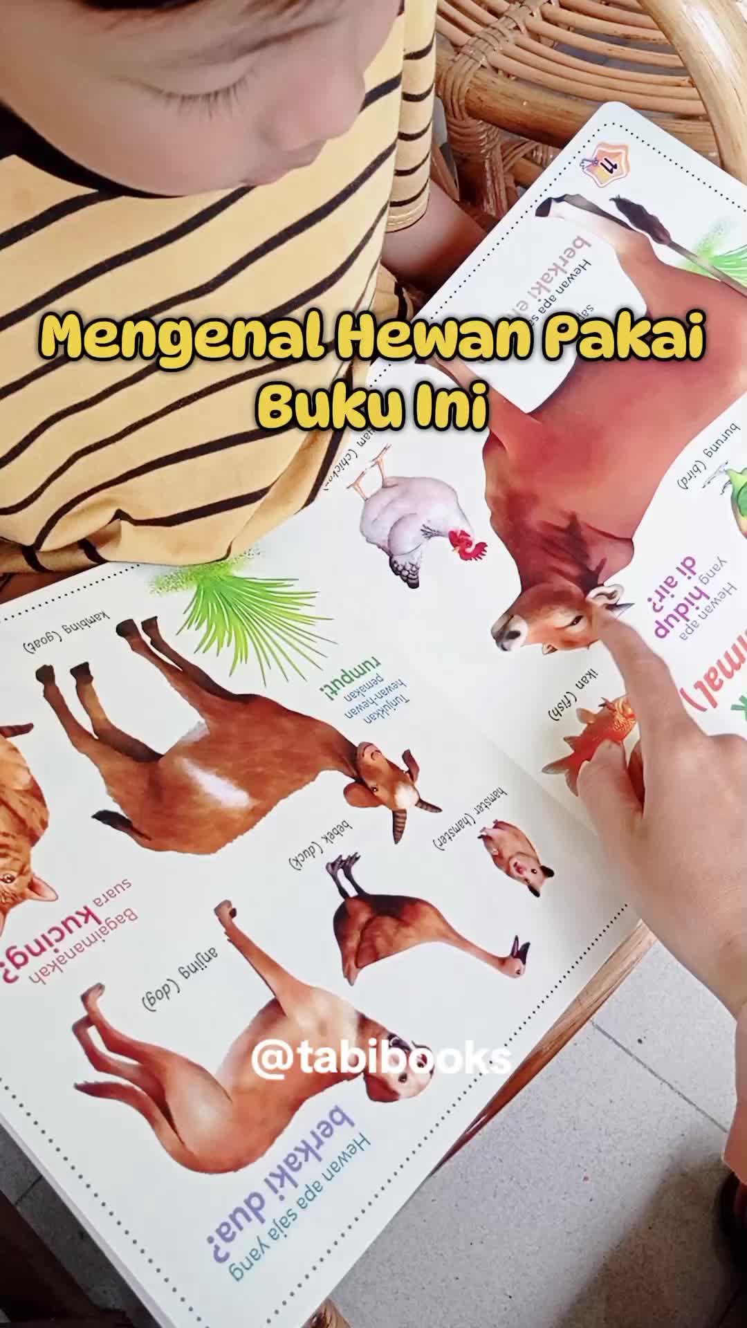 @bunda nizam | tabibooks