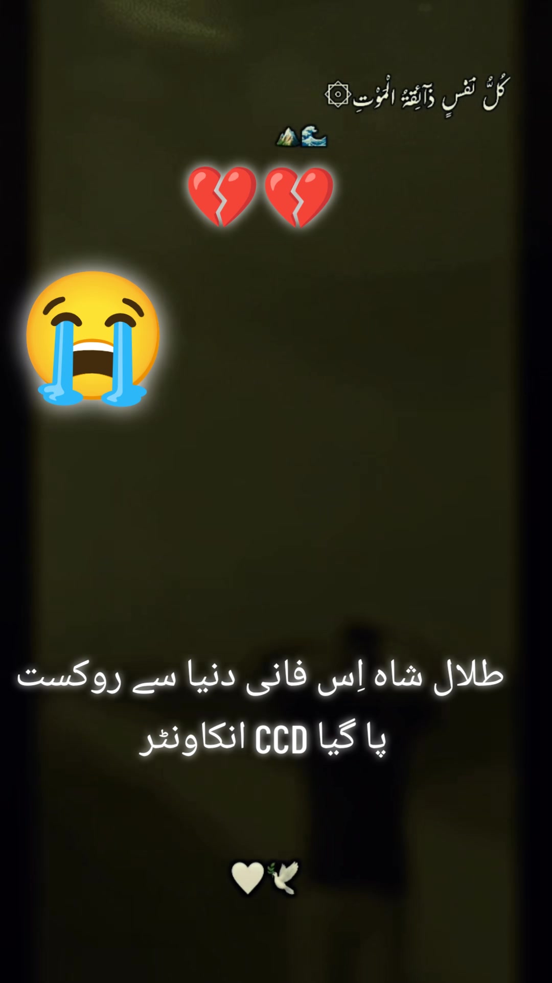 @Rana Fareed king 336
