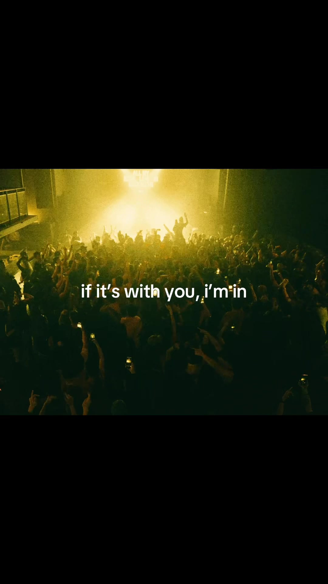 @jigitz