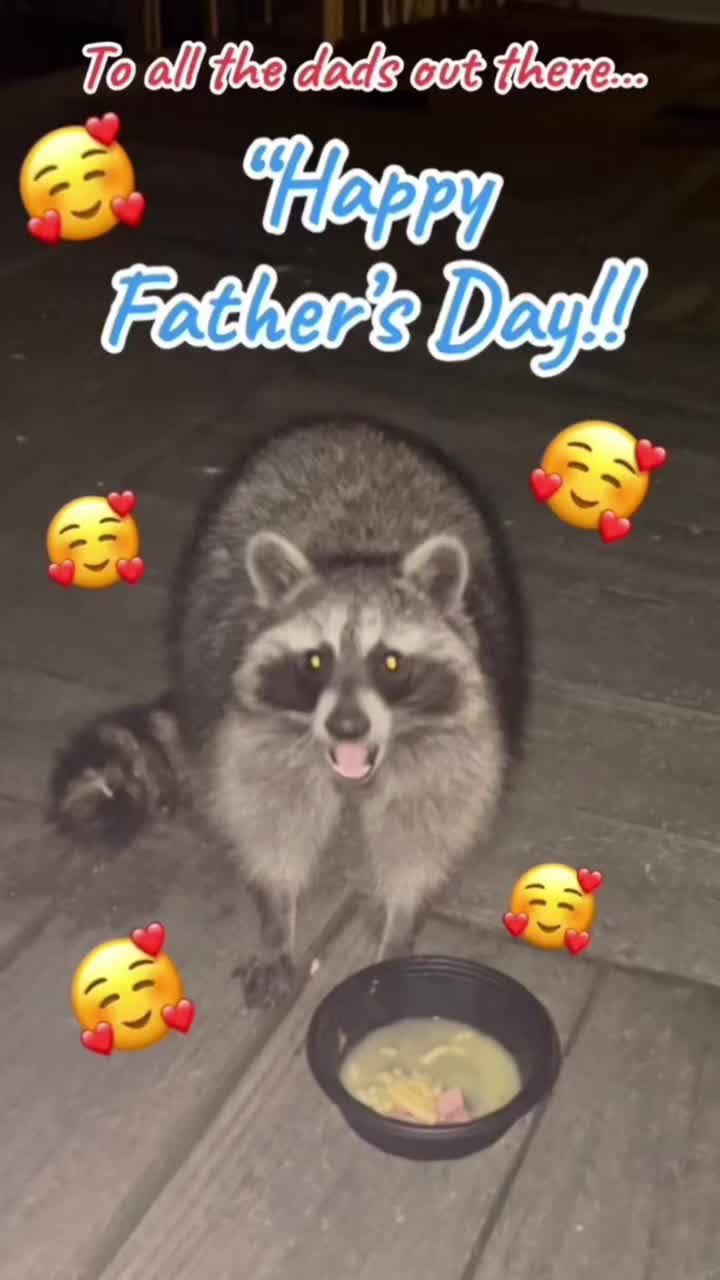 @LoneWolfKritterKam