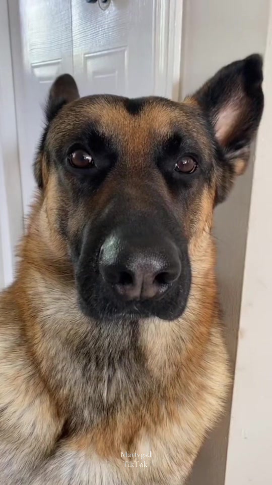 @Martygsd