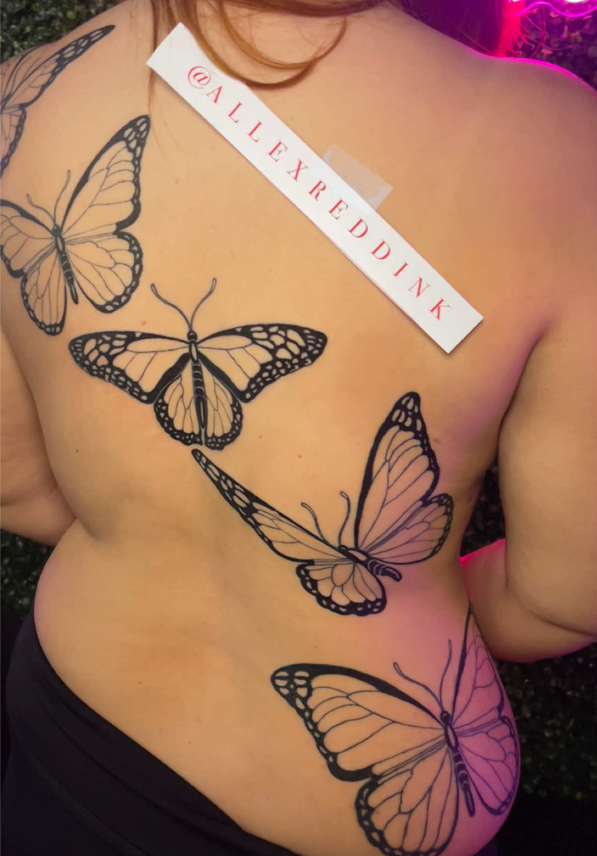 @allex.redd