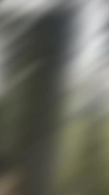 @𝕸𝖔𝖘𝖒𝖔𝖐𝖎𝖓𝖚 (𝕿𝕸𝕾)