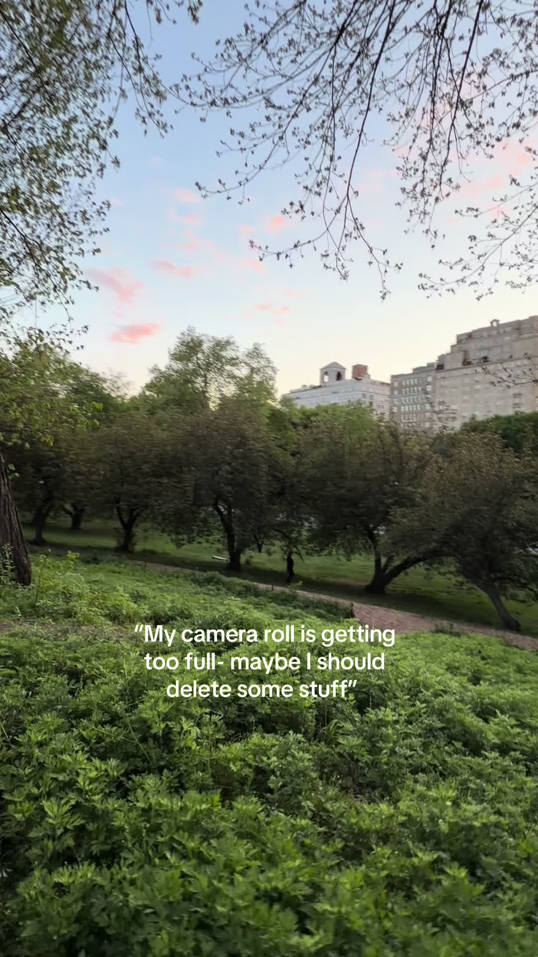 @🍊