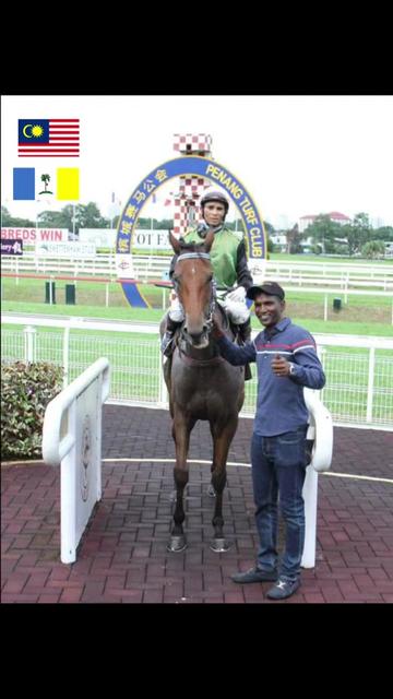 @kevin 🏆🏇🏇🏇🏆 🇸🇬🇲🇾🇳🇿