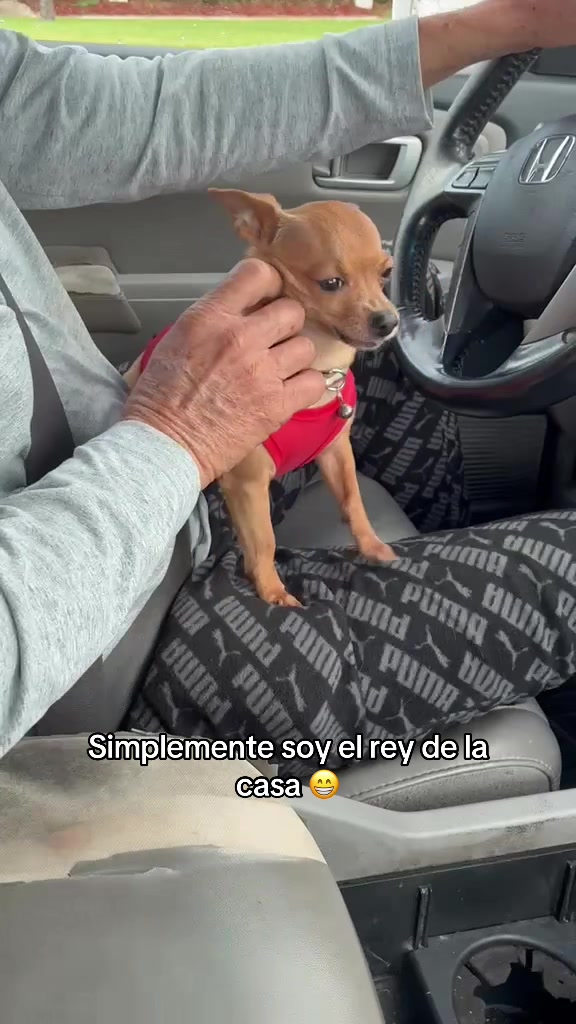 @Gloria Hernandez