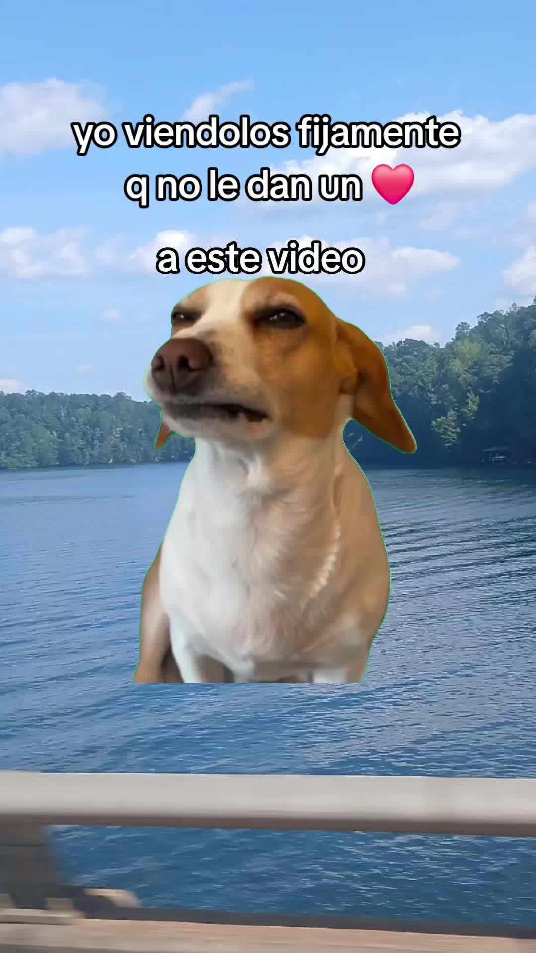 @🇭🇳t&oacute;xica 🇭🇳