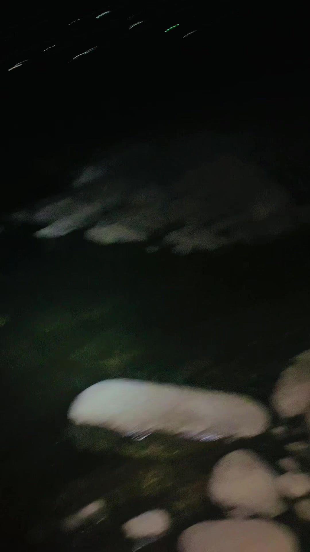 @⸙ℝ𝕖𝕙𝕞𝕒𝕥 𝕕𝕠𝕨𝕒𝕕𝕫𝕒𝕚♛