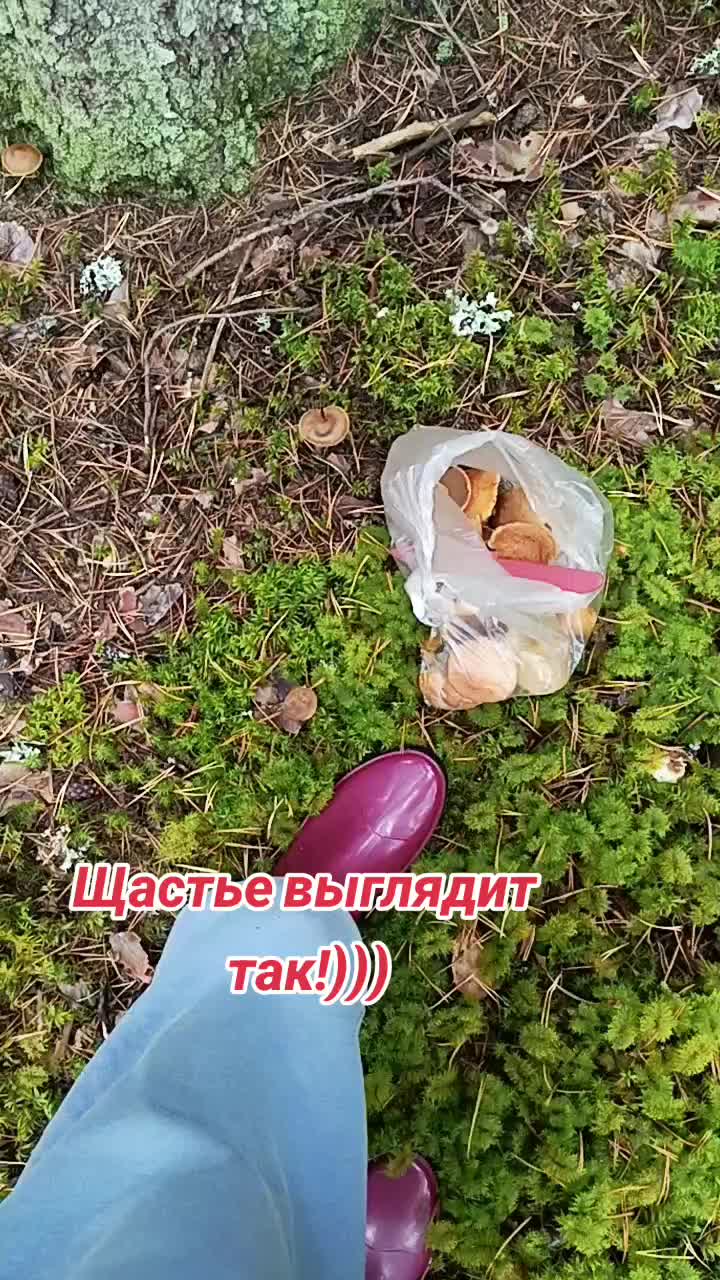@user2278096979685