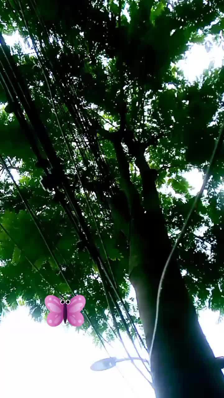@Safiqur Islam