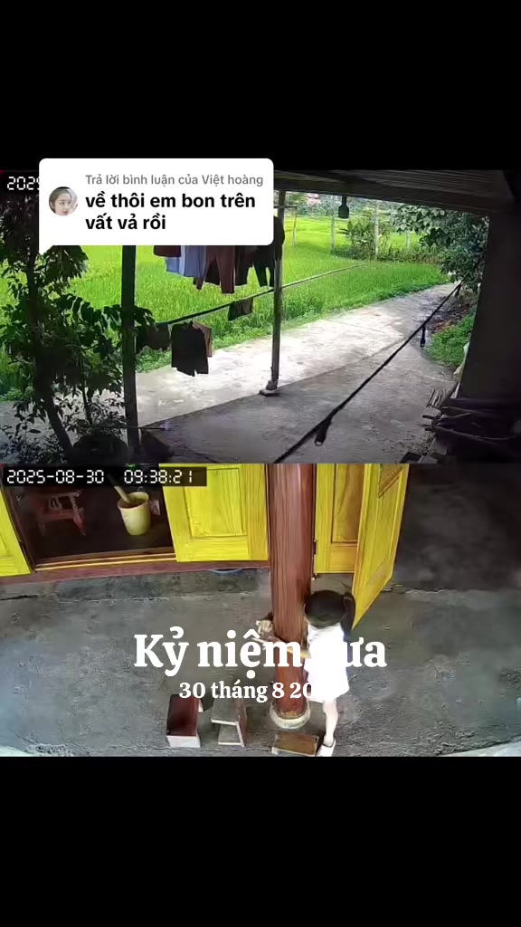 @𝒩𝑔𝓊𝓎ễ𝓃 𝒫𝒽ươ𝓃𝑔 𝒯𝒽ả𝑜