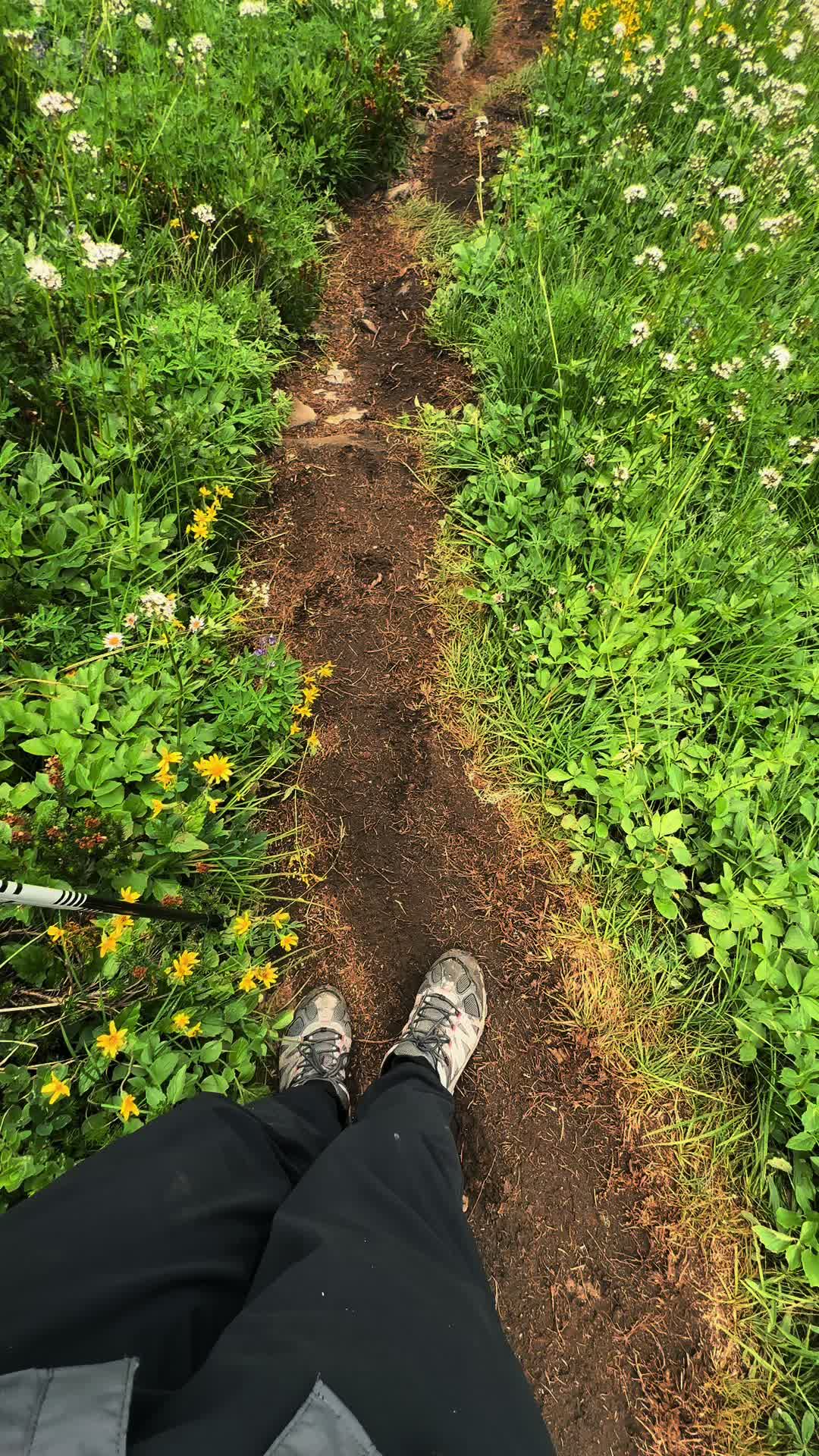 @🌲 James | WA 🏔️