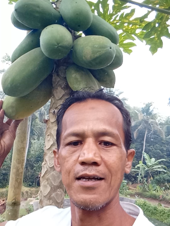 @SUYITNO TOK