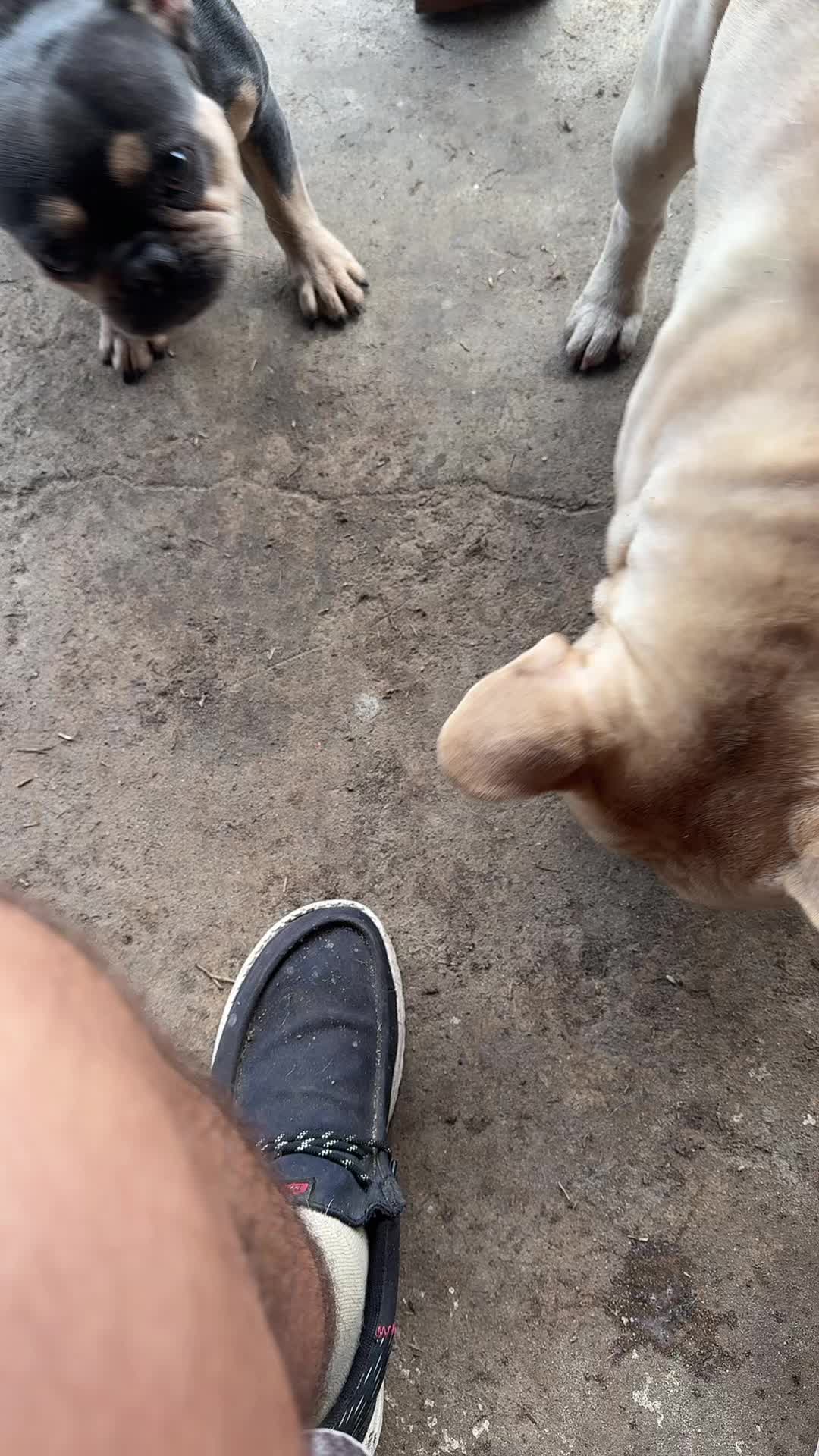 @Kale.850