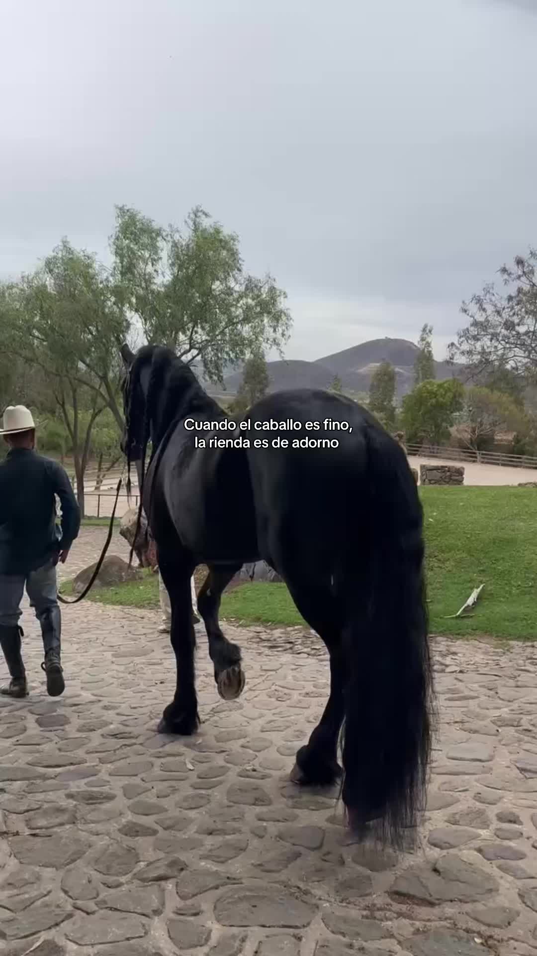 @Rancho el descanso GDL
