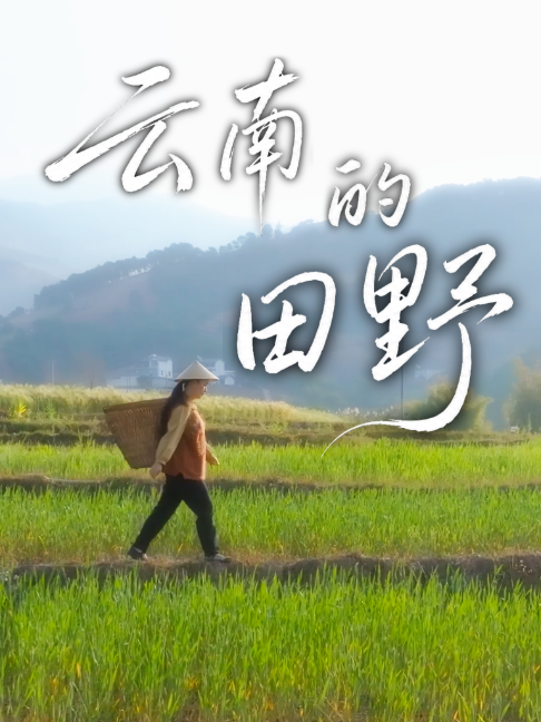 @滇西小哥 Dianxixiaoge