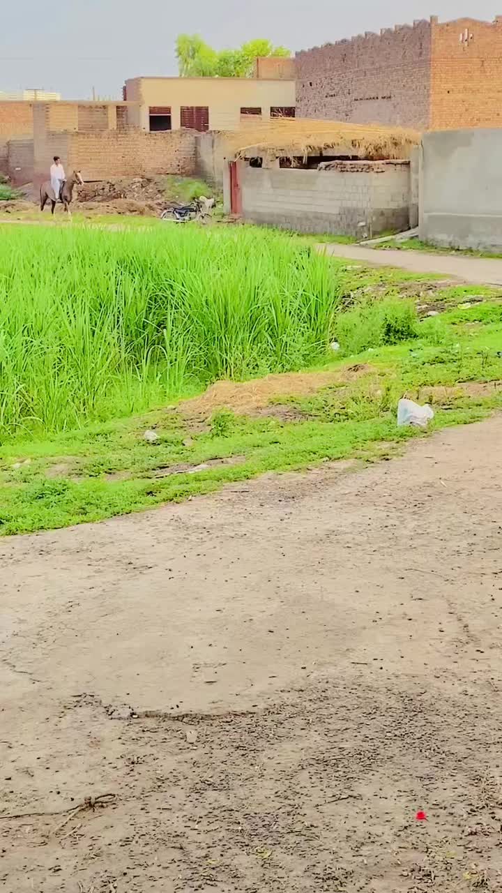 @🔱ملک ریاست بھیکھ👻