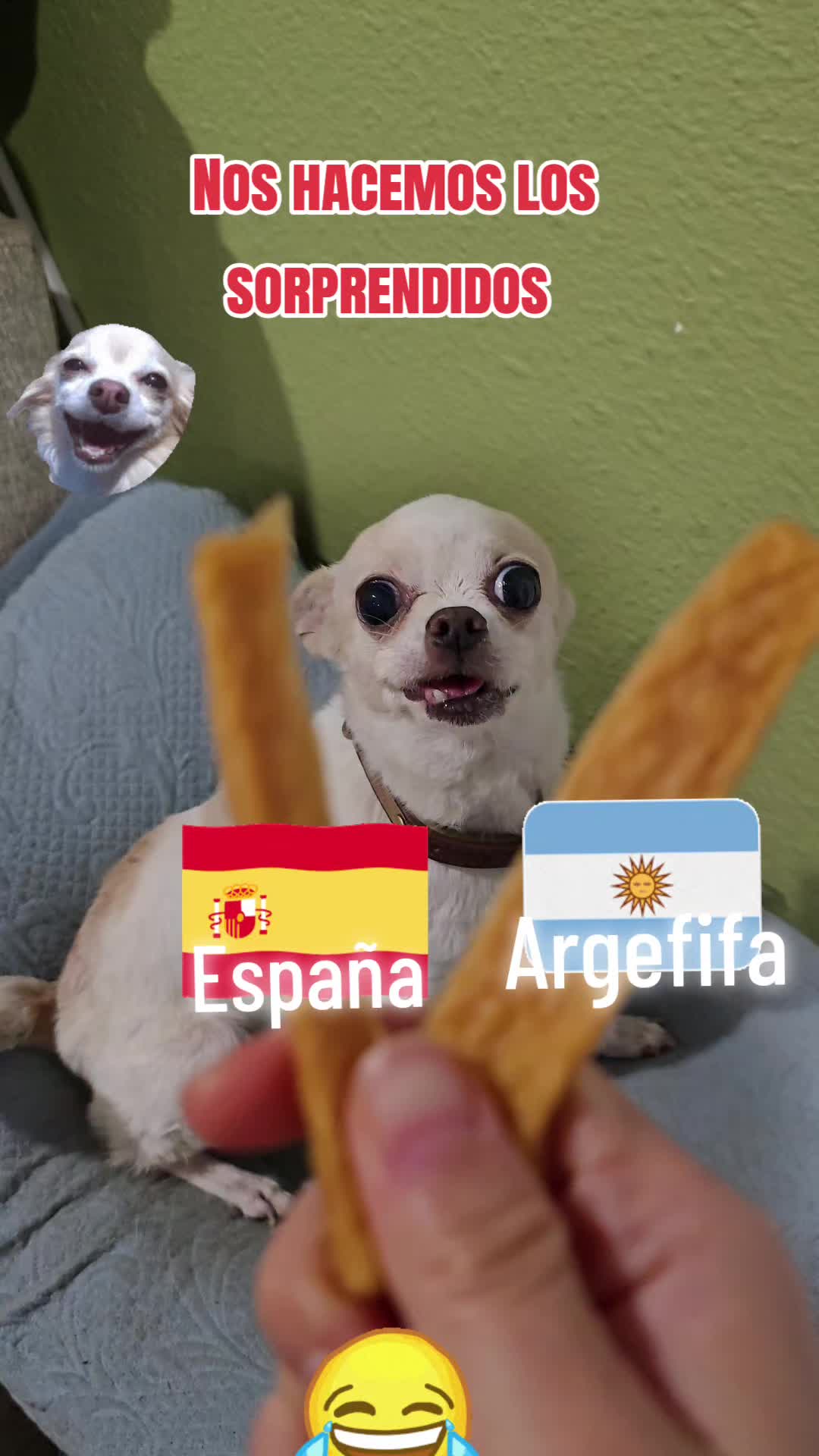 @💜Puchis 🐶🫰