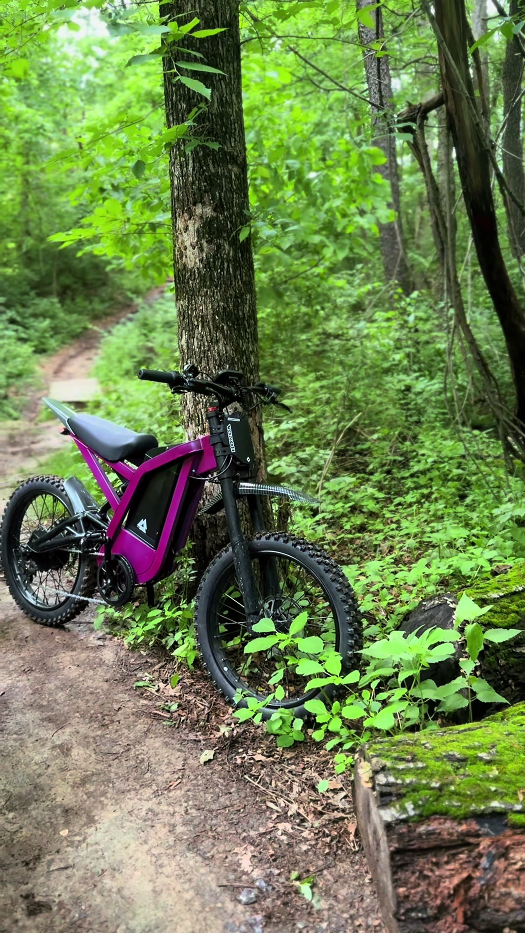 @🛹JAX🚲