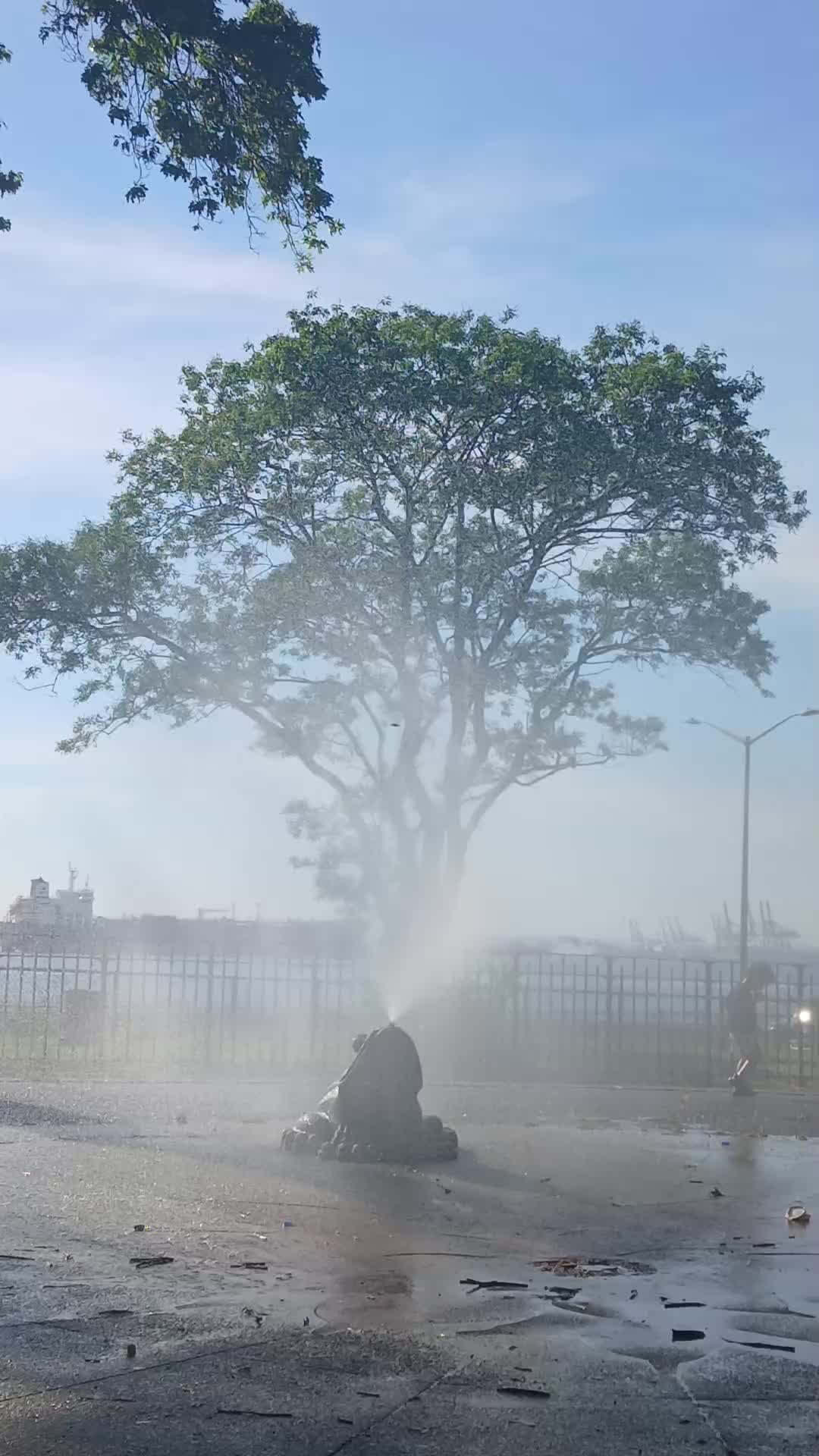 @Meharzaddi103❤️🦋❤️