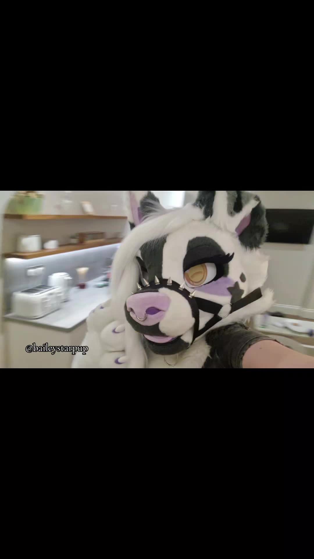 @Bailey (lilpixiekitten)