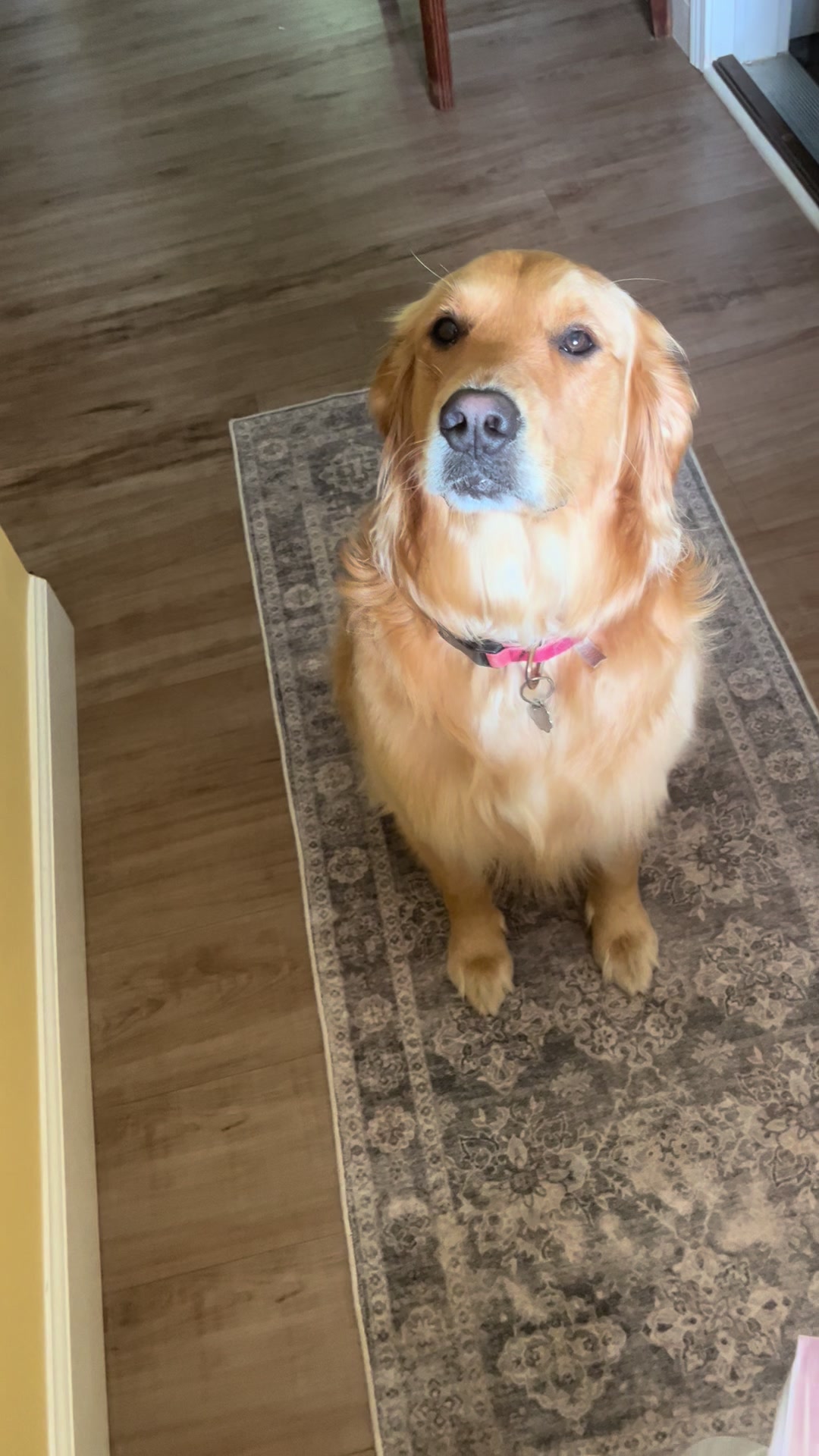 @Winnie the Golden Girly